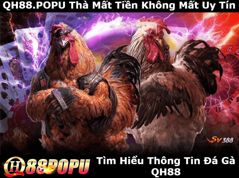 tim-hieu-thong-tin-da-ga-qh88